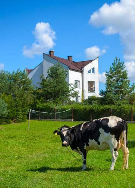 Gospodarstwo Agroturystyczne Jacwing Villa Giby Bagian luar foto